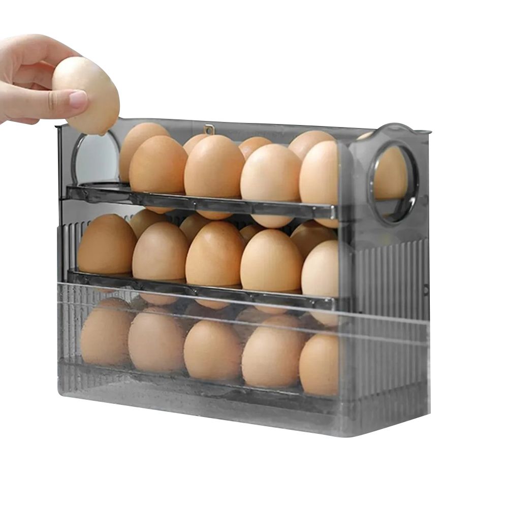 Plastic Egg Organizer