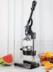 Hand Press Manual Juicer