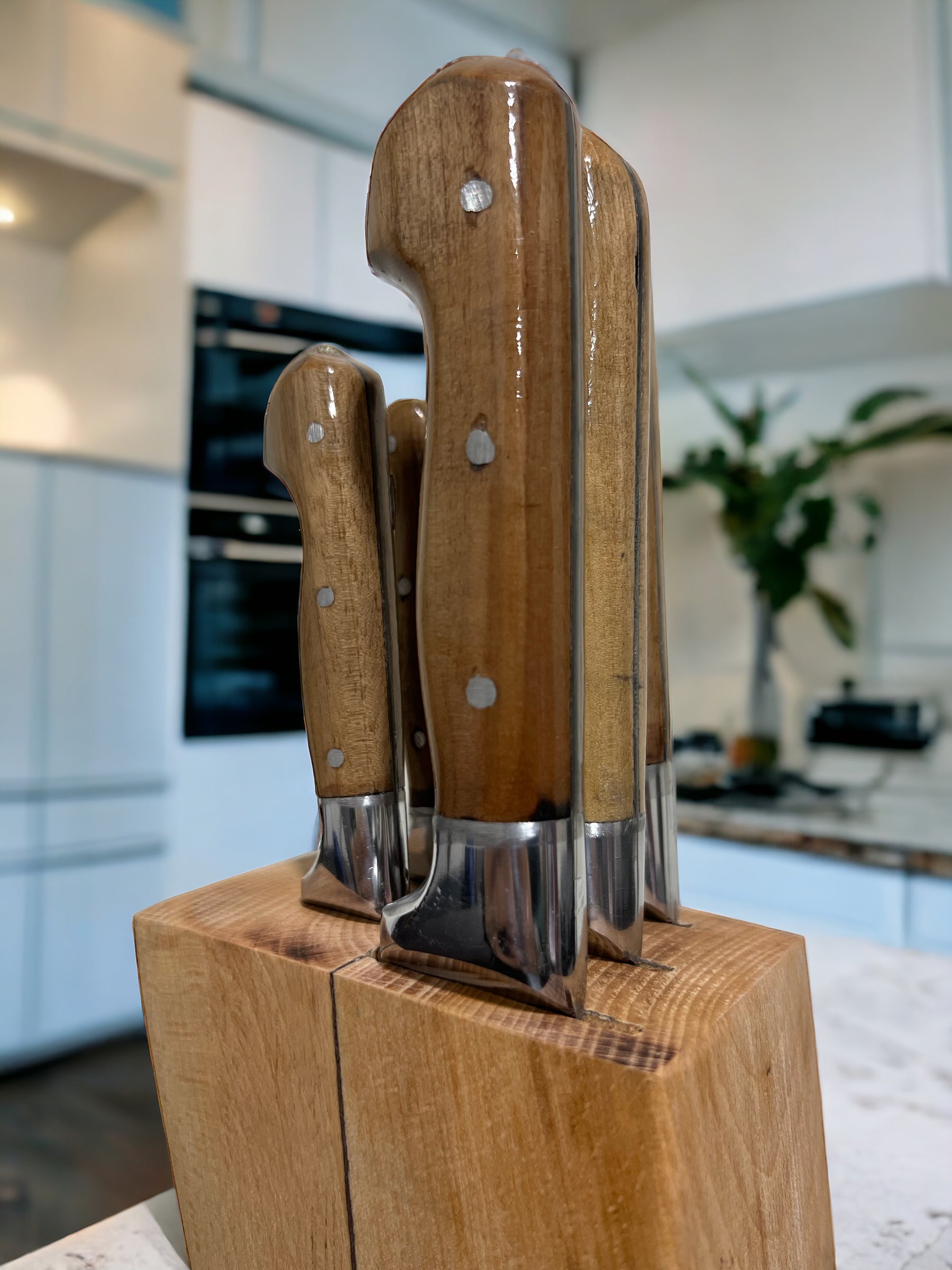 Stainless Steel Chef Knife Set, Wood Display Stand