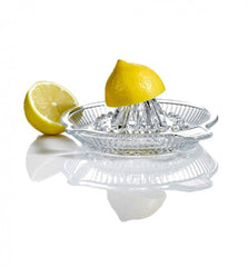 Glass Citrus Juicer