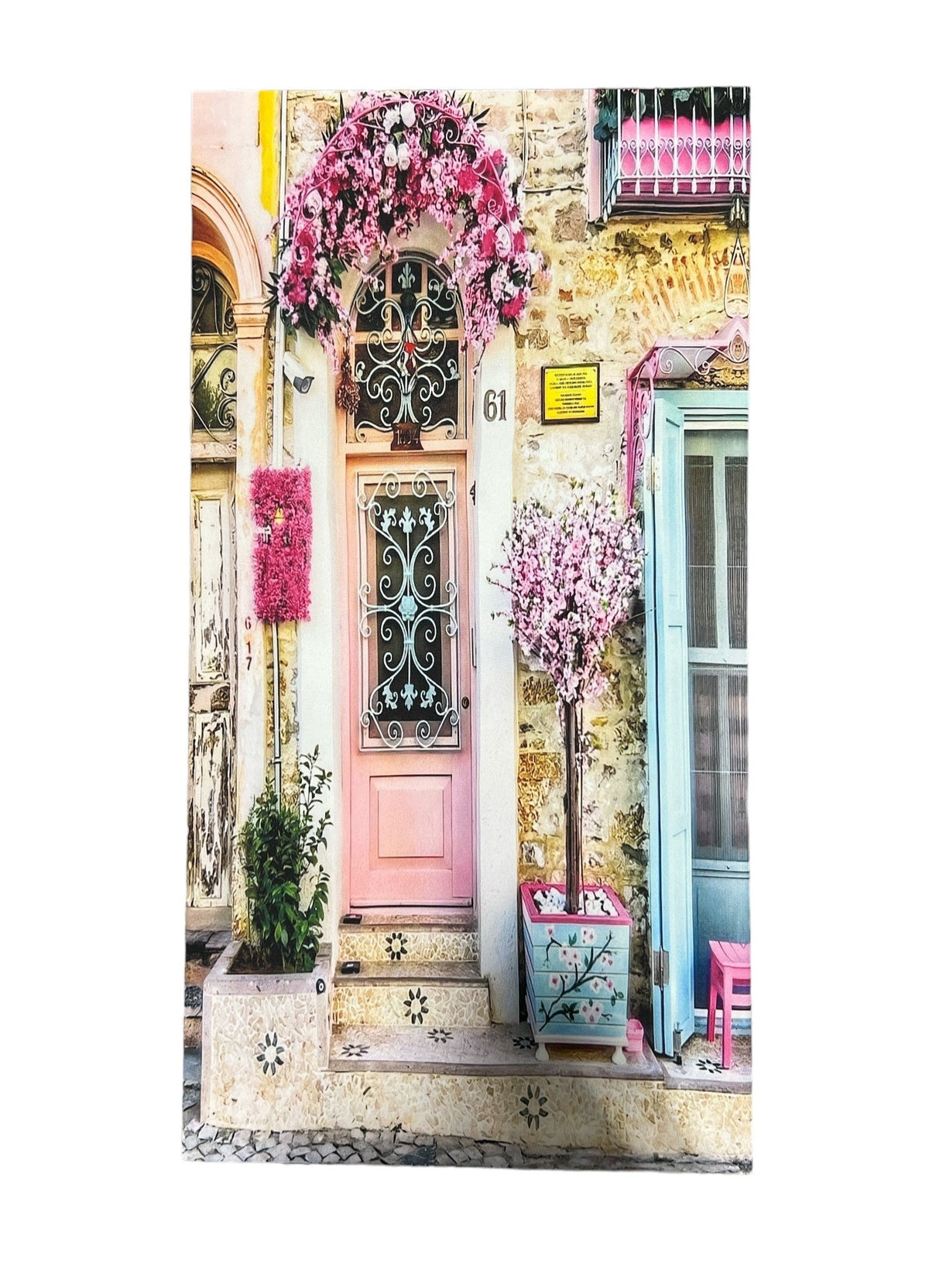 Pink Door (Small)