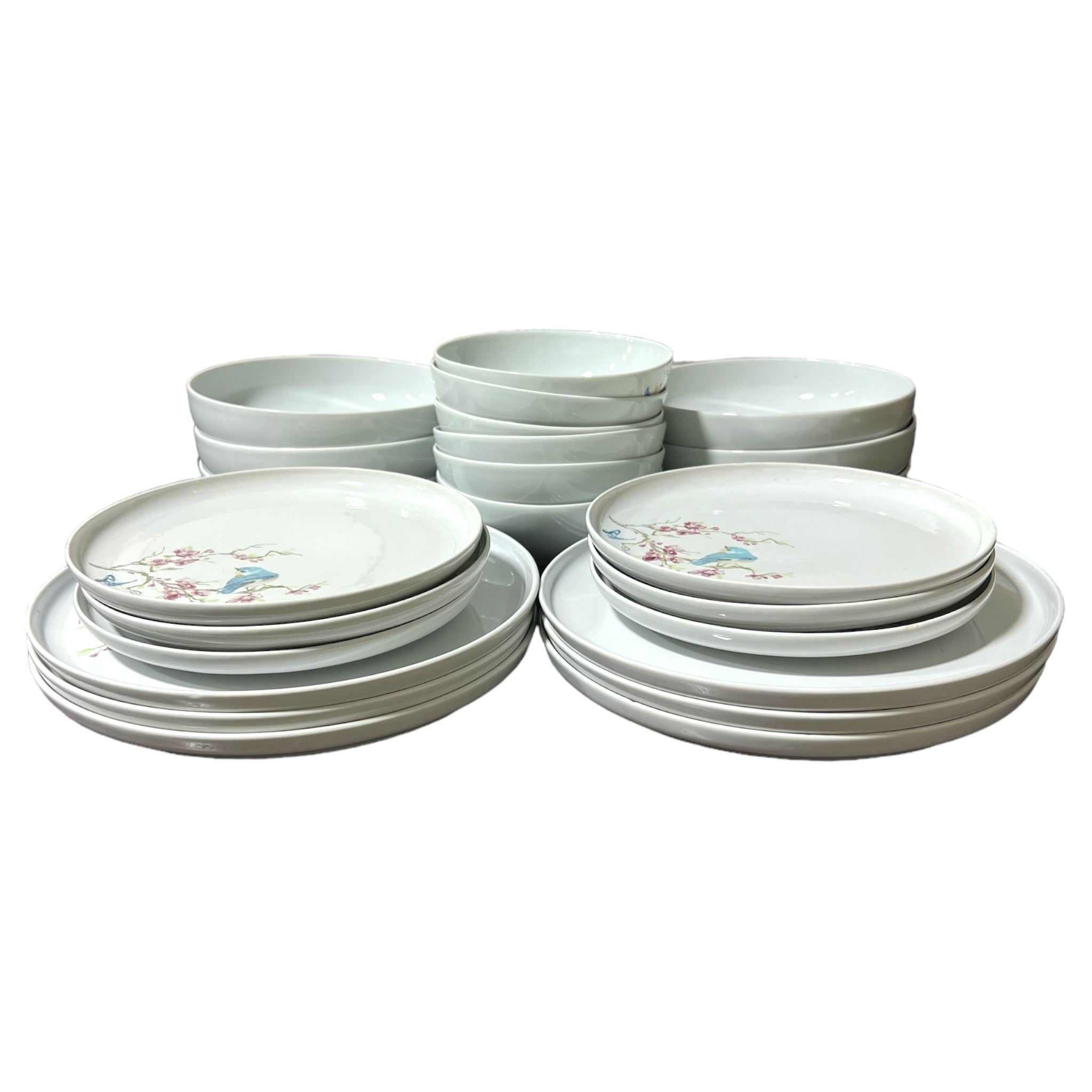 Blue Bird 24 Piece Dinner Plate Set